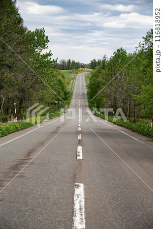 十勝平野を横切る直線道路 十勝平野を横切る直線道路 116818952