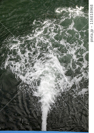 桜島フェリーの船内から見る錦江湾 116818968