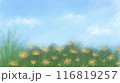 黄色い花の咲く春の野原をイメージしたイラストです。パステルや色鉛筆を使用したアナログ画風の表現です。 116819257