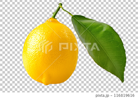 A ripe, bright yellow lemon with a fresh green leaf, suitable for food, drink, and health related topics isolated on white transparent background A ripe, bright yellow lemon with a fresh green leaf, suitable for food, drink, and health related topics isolated on white transparent background 116819616
