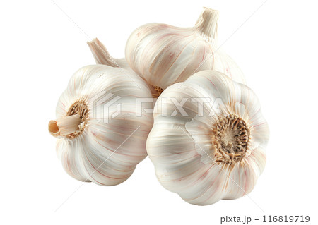 Ripe hardneck garlic bulb isolated on a white background. 116819719