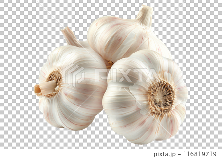 Ripe hardneck garlic bulb isolated on a white background. 116819719