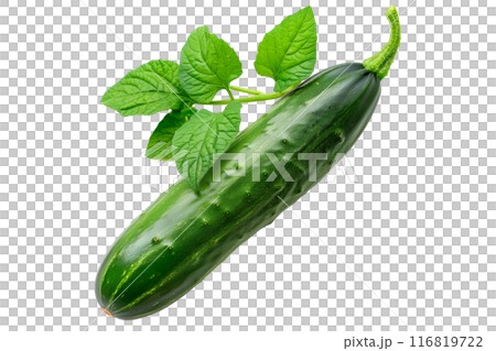 Fresh green cucumber isolated against a white background. Fresh green cucumber isolated against a white background. 116819722