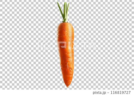 Fresh orange carrot with green leaves isolated on a white background. 116819727