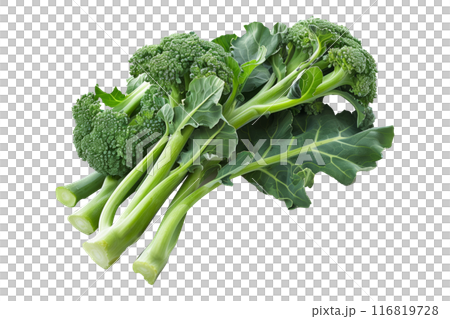 Calabrese broccoli floret with green leaves, isolated on a white background. 116819728