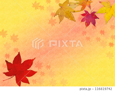 紅葉と黄色オレンジ色のグラデーション背景 116819742