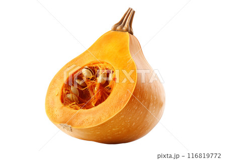 Honeynut squash isolated on a white background, great for autumn themes and decorations. 116819772