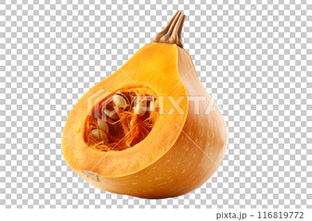 Honeynut squash isolated on a white background, great for autumn themes and decorations. 116819772