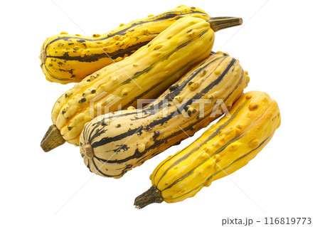 Delicata squash isolated on a white background, great for autumn themes and decorations. 116819773