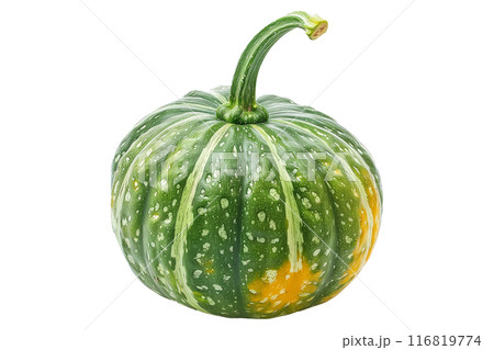 buttercup squash isolated on a white background, great for autumn themes and decorations. 116819774