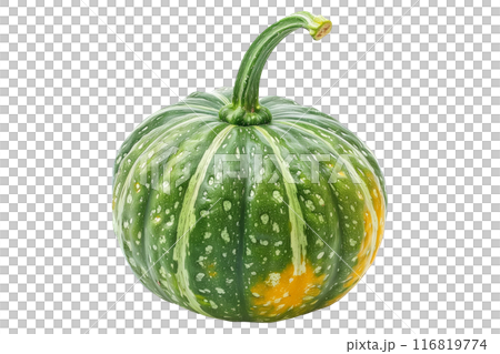 buttercup squash isolated on a white background, great for autumn themes and decorations. 116819774