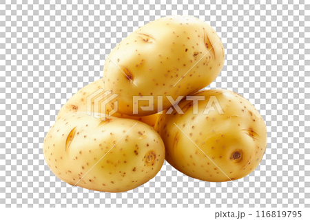Unpeeled yellow potatoes isolated on a white background. 116819795