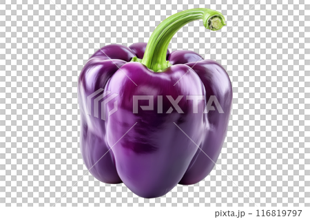 Purple bell pepper with green stem isolated on a white background. 116819797