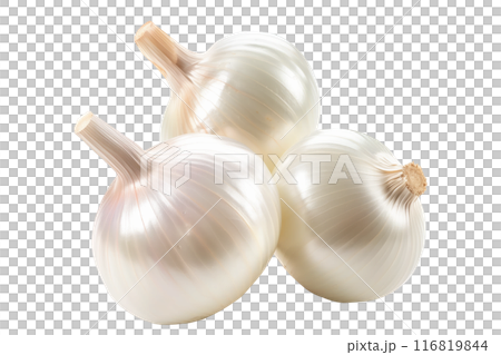 Fresh pearl onions isolated on white background. 116819844
