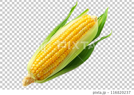 Fresh yellow corn with green leaves isolated on a white background. Fresh yellow corn with green leaves isolated on a white background. 116820237