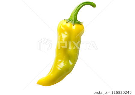 Yellow chili pepper Anaheim isolated on a white background. 116820249