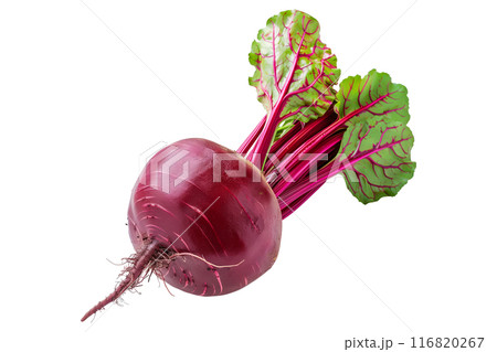 Fresh red beetroot with its green leaves isolated against a white background. 116820267