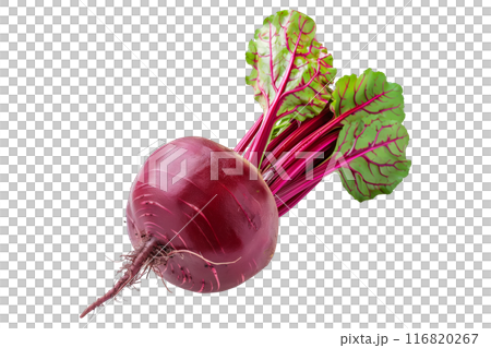 Fresh red beetroot with its green leaves isolated against a white background. 116820267