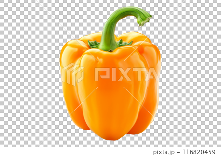 Yellow bell pepper with green stem isolated on a white background. 116820459