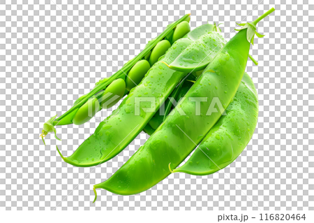 Fresh green peas with leaves in open pods isolated on a white background. 116820464