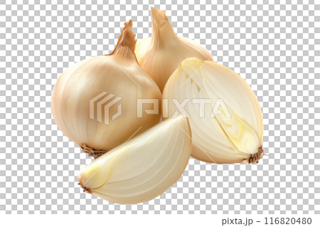 Fresh cipollini onions isolated on white background. 116820480