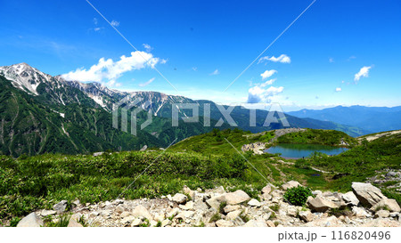 八方尾根から見る八方池と白馬連峰の絶景 116820496