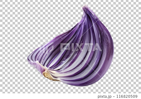Ripe purple stripe garlic bulb isolated on a white background. Ripe purple stripe garlic bulb isolated on a white background. 116820509