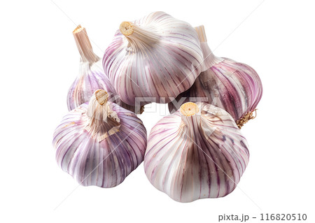 Ripe hardneck garlic bulb isolated on a white background. Ripe hardneck garlic bulb isolated on a white background. 116820510