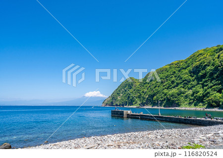 井田海水浴場　井田海岸 116820524