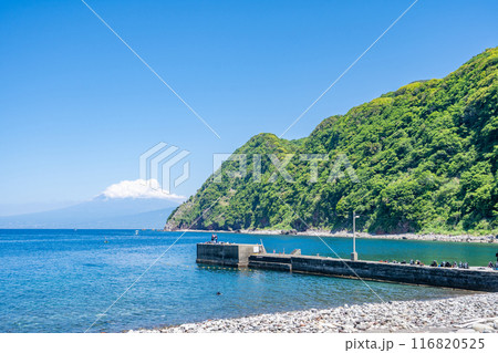井田海水浴場　井田海岸 116820525