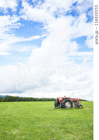 夏の長門牧場（信州白樺高原） 116820555