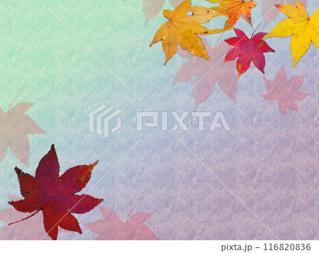 紫色と緑色のグラデーション背景と紅葉 紫色と緑色のグラデーション背景と紅葉 116820836