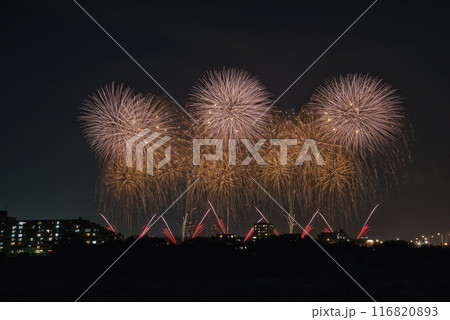 夜空に咲く花火 高く輝く花火大会 花火 夜空 花火イメージ 花火大会 夜空に咲く花火 高く輝く花火大会 花火 夜空 花火イメージ 花火大会 116820893