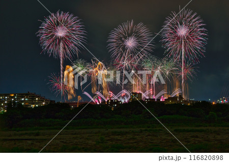 夜空に咲く花火　高く輝く花火大会　花火　夜空　花火イメージ　花火大会 116820898