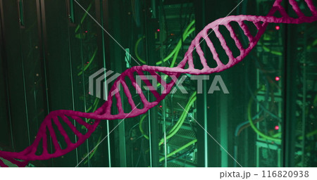 Image of pink dna strand moving over dark...のイラスト素材 [116820938] - PIXTA