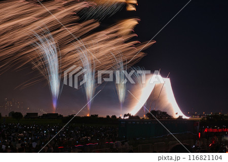 夜空に咲く花火　高く輝く花火大会　花火　夜空　花火イメージ　花火大会 116821104
