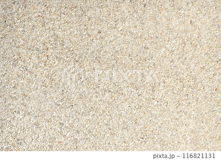 砂・背景素材 116821131