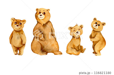 watercolor set of forest animal bear, sketch of cartoon adult mother bear and three different bear cubs, funny illustration on white background, for children posters 116821180