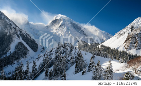 雪山の雪崩イメージ（AI生成画像） 116821249