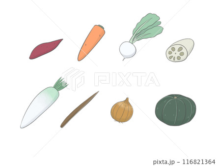 いろいろな野菜のイラスト いろいろな野菜のイラスト 116821364