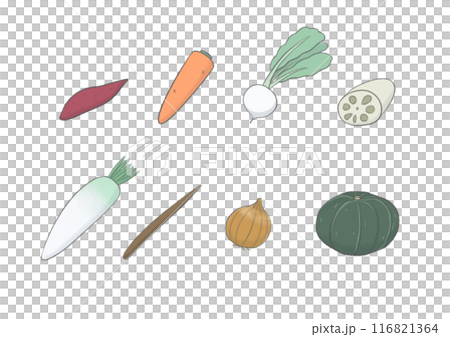 いろいろな野菜のイラスト いろいろな野菜のイラスト 116821364