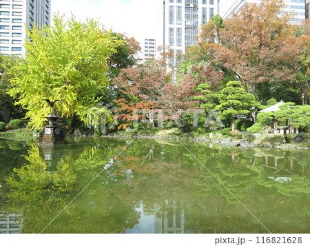 紅葉・黄葉が美しい日比谷公園の雲形池 紅葉・黄葉が美しい日比谷公園の雲形池 116821628