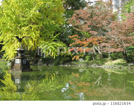 紅葉・黄葉が美しい日比谷公園の雲形池 紅葉・黄葉が美しい日比谷公園の雲形池 116821634