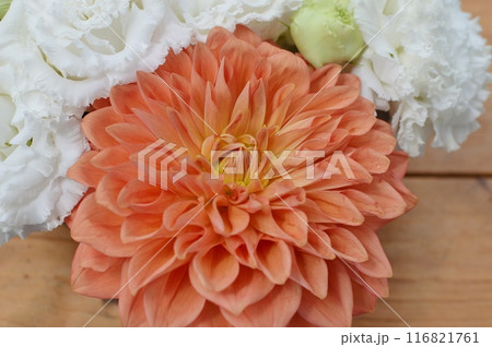 ダリアとトルコギキョウのアレンジメント ダリアとトルコギキョウのアレンジメント 116821761