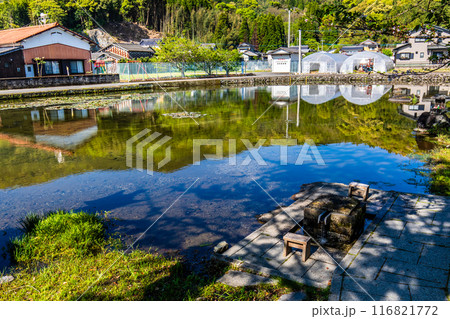 新緑の縫ノ池 【佐賀県杵島郡白石町】 新緑の縫ノ池 【佐賀県杵島郡白石町】 116821772