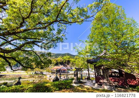 新緑の縫ノ池　【佐賀県杵島郡白石町】 116821778