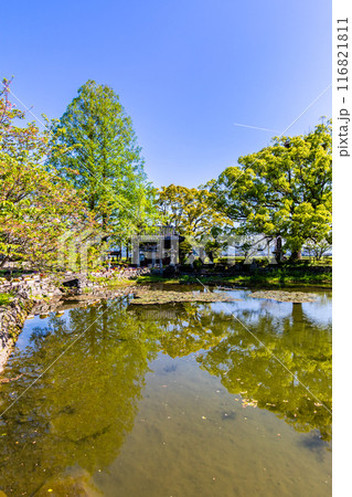 新緑の縫ノ池　【佐賀県杵島郡白石町】 116821811