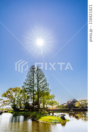 新緑の縫ノ池　【佐賀県杵島郡白石町】 116821821
