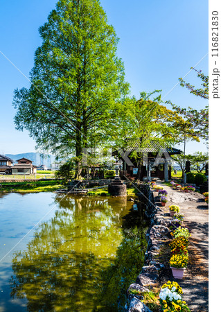 新緑の縫ノ池　【佐賀県杵島郡白石町】 116821830