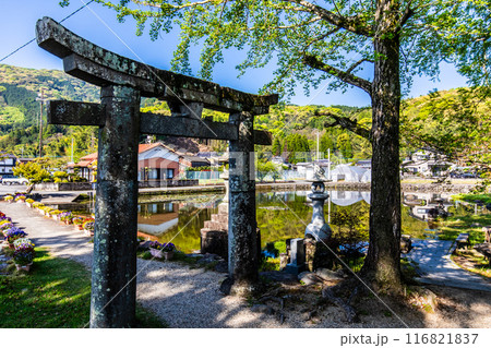新緑の縫ノ池　【佐賀県杵島郡白石町】 116821837